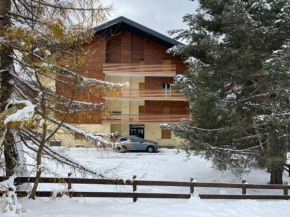 Casa ai Dossi Predazzo